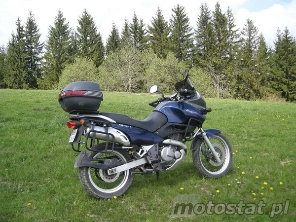 1999 Suzuki XF 650 Freewind