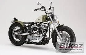 2009 Road Hopper Type 1