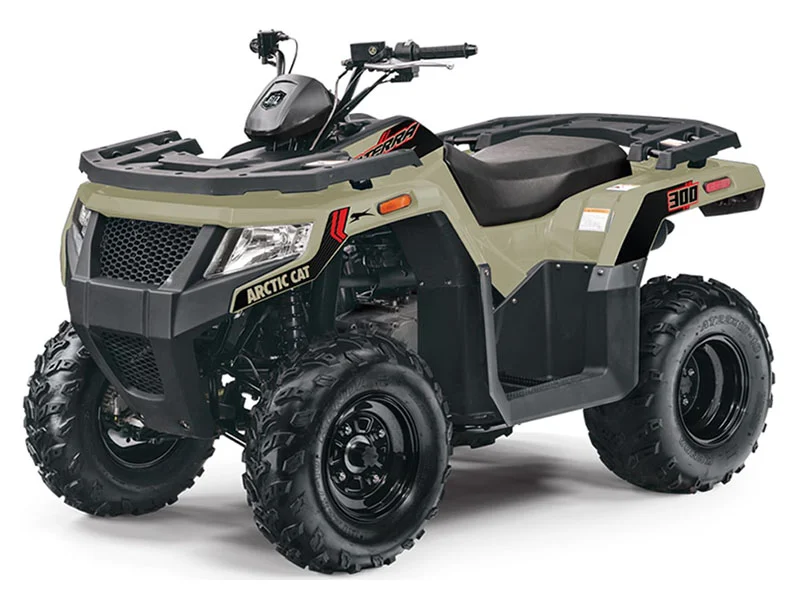 2022 Arctic Cat Alterra 300