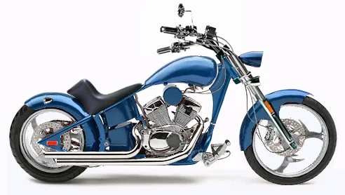 2009 Rhino Hunter Softail FLM004