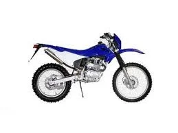 2008 Diamo RS250