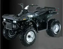 2012 E-Ton Challenger CXL-150