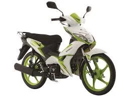 2020 Italika XT110