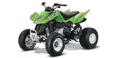 2014 Arctic Cat DVX 300