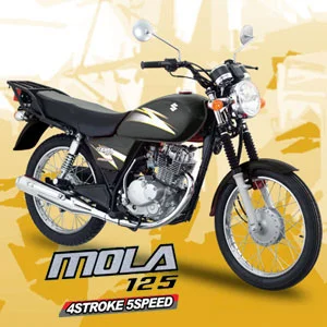 2014 Suzuki Mola 125