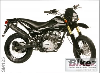 2011 CCM SM 125