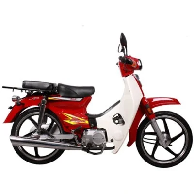 2015 Demak Spark RUV