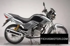 2014 Gogo Moto GO 200-D