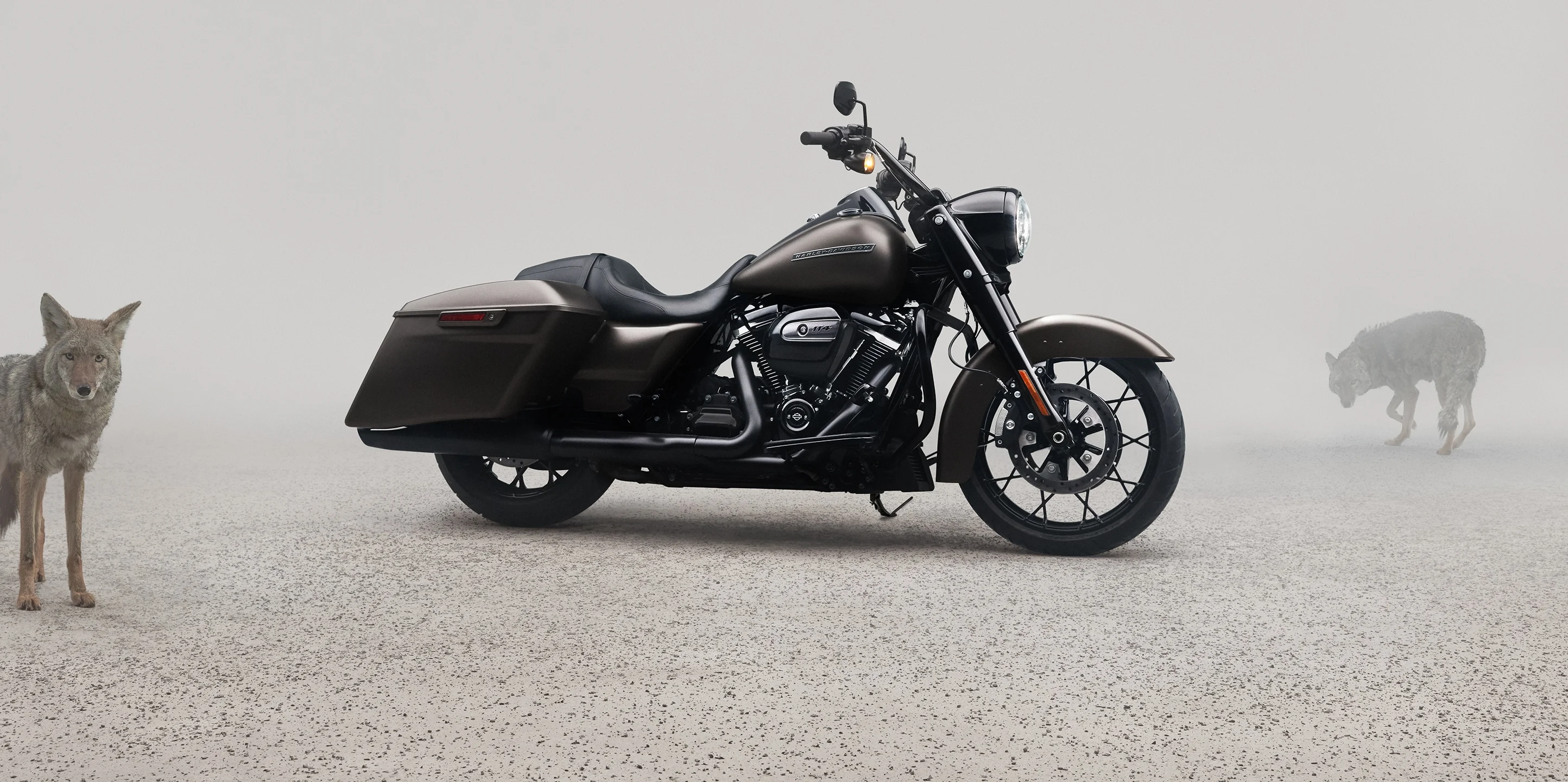 2020 Harley-Davidson Road King