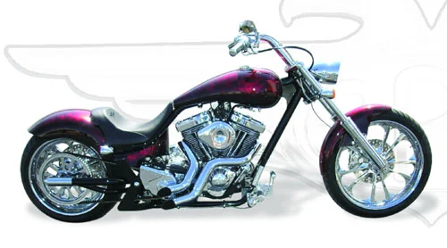 2007 APC Double Down 300