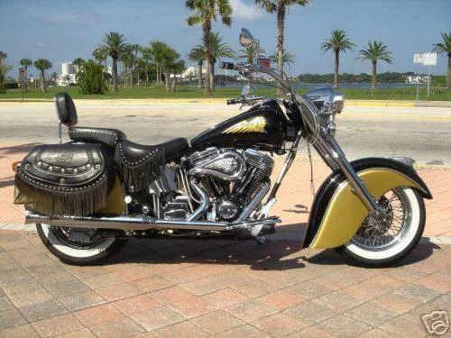 2001 Indian Chief