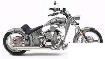 2009 Rhino Hunter Softail FLM005