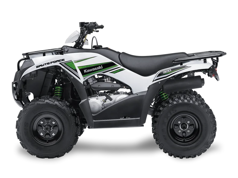 2016 Kawasaki Brute Force 300
