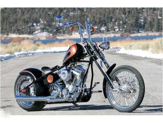 2010 Big Bear Choppers Screamin Demon 100 Carb