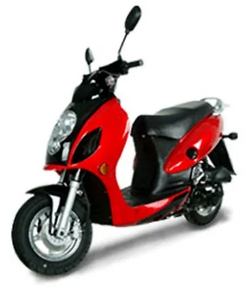 2009 Giantco Filly 50