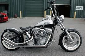 2010 Sucker Punch Sallys Sled