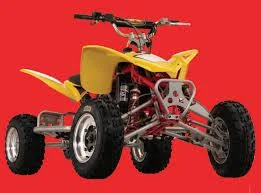 2009 Cobra ECX70