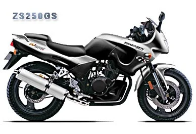 2006 Zongshen GS 250