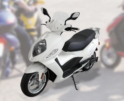 2010 Innoscooter Elektroroller EM 6000 Maxi-Lithium