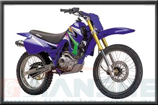 2007 Veli VL125GY-S2