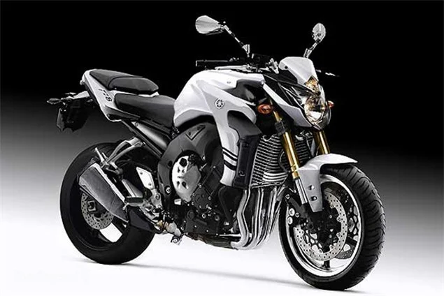 2010 Yamaha FZ8