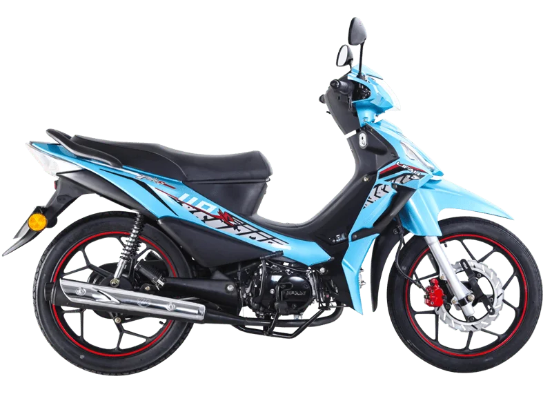 2020 Lifan PKS110