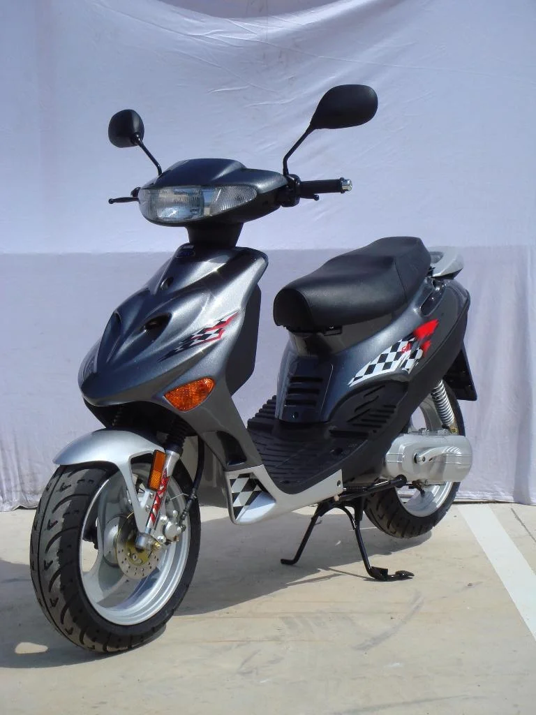 2010 Adly SF-100 Silver Fox