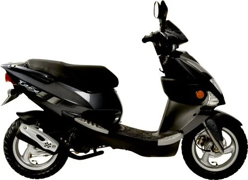 2007 PGO T-REX 110