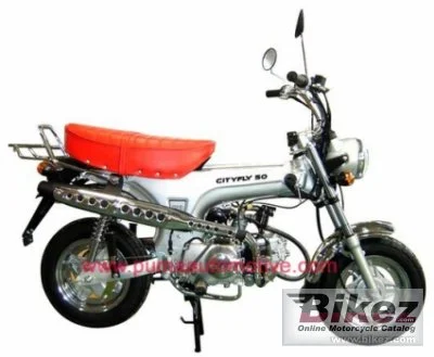 2010 Puma CityFly 125