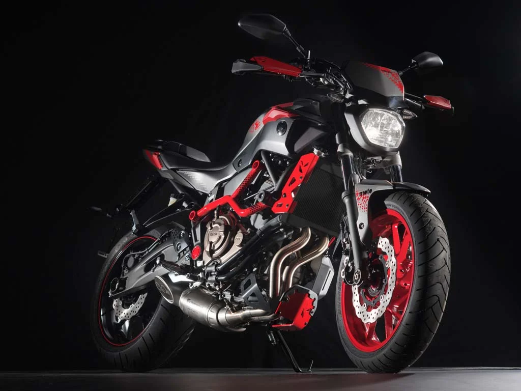 2015 Yamaha MT-07 Moto Cage ABS