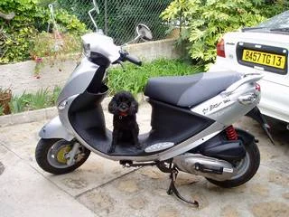 2004 PGO My BuBu 125