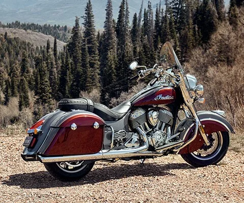 2019 Indian Springfield