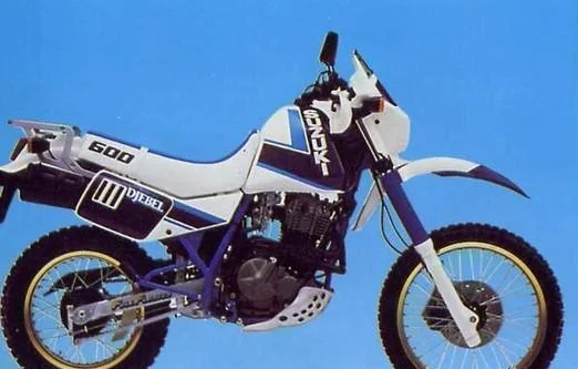 1989 Suzuki DR 600 R Dakar