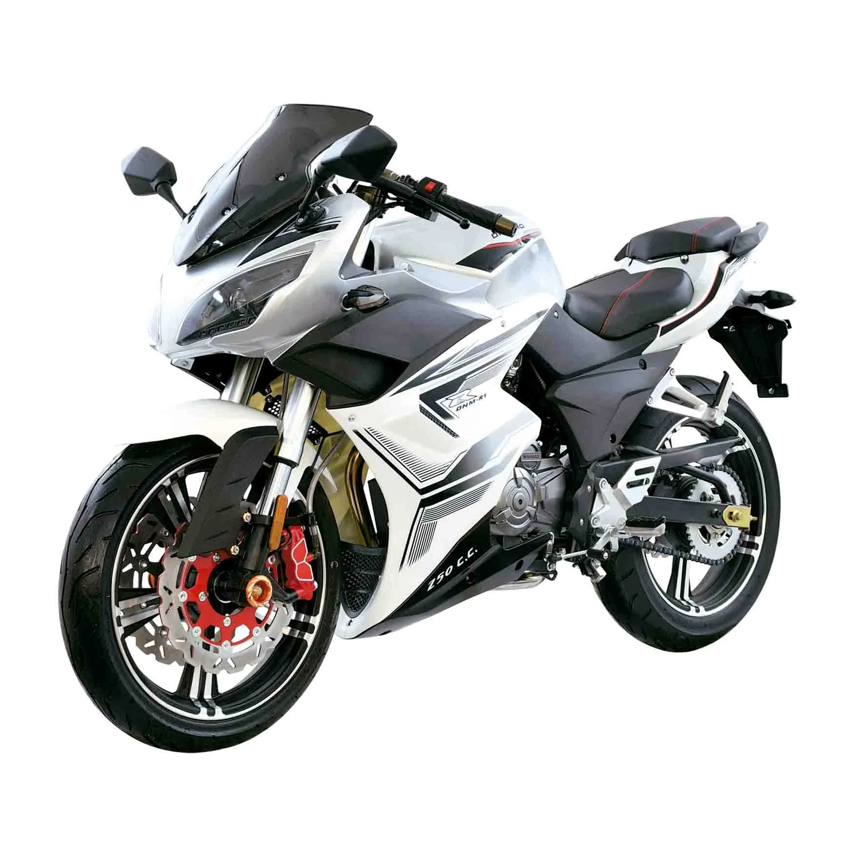 2020 Dinamo Dnm-R1 250