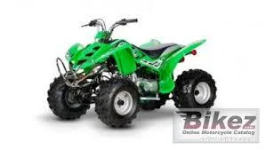 2009 Diamo Lightning 110