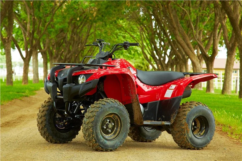 2015 Yamaha Grizzly 300 Automatic