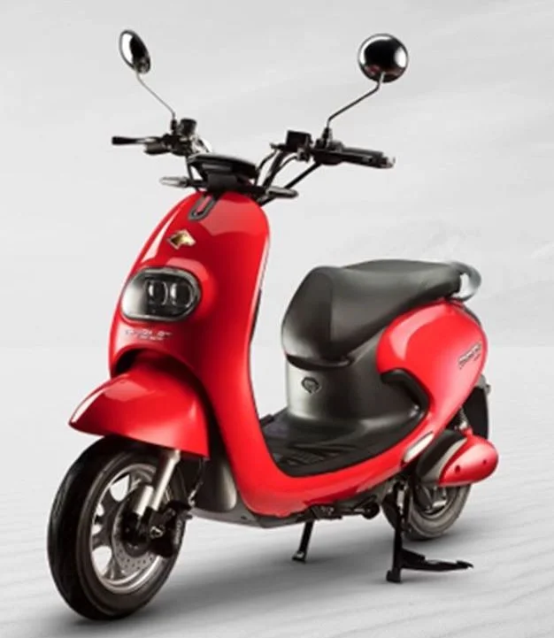 2021 Evolet Pony Classic