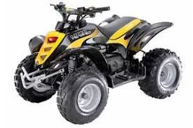 2010 E-Ton Viper 90 R
