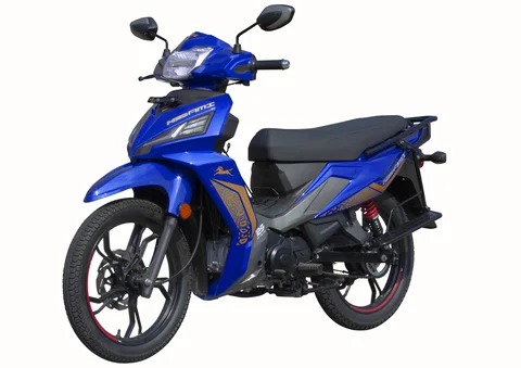 2024 TVS Neo AMI