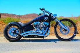 2009 Swift ESF Bar Chopper