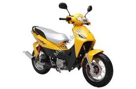 2008 Senke SK100