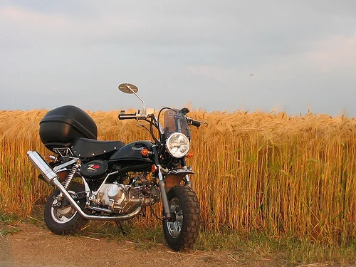 2010 Rokon Ranger