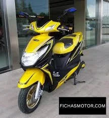 2014 Vmoto Leopard