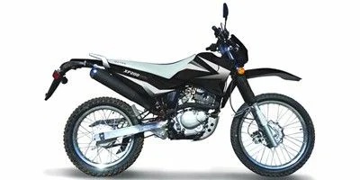 2010 Qlink XP 200