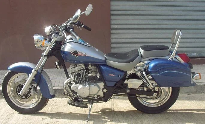 2014 Clipic Guepard 250