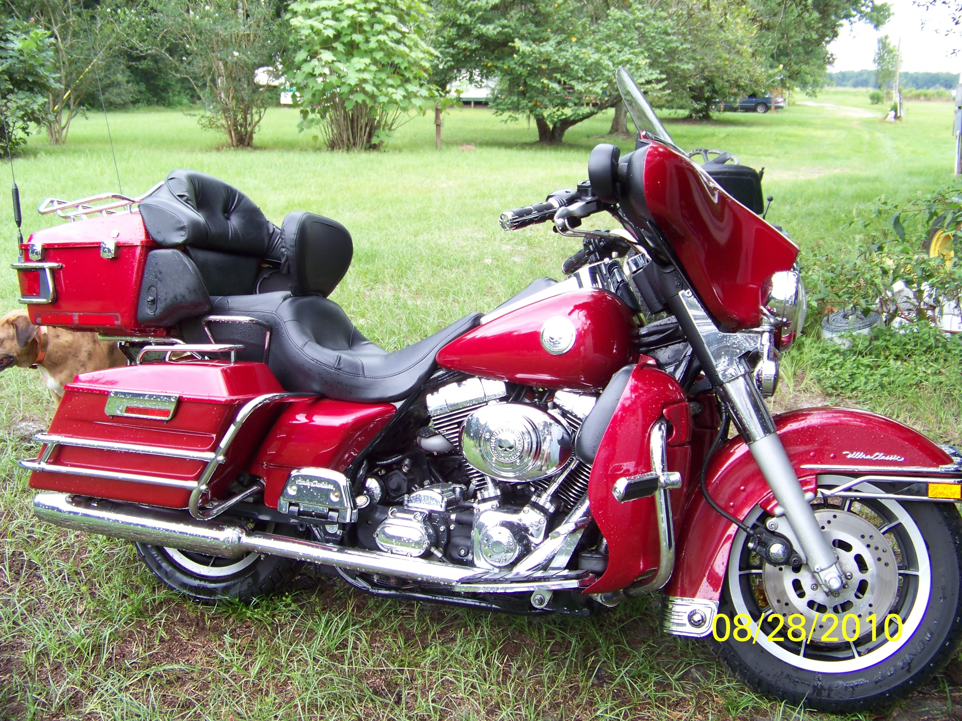 1999 Harley-Davidson FLHT Electra Glide Standard