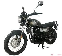 2021 QJmotor QJ250-9