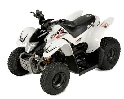 2010 Aeon Minikolt 50