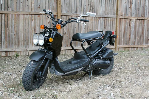 2008 Honda Ruckus