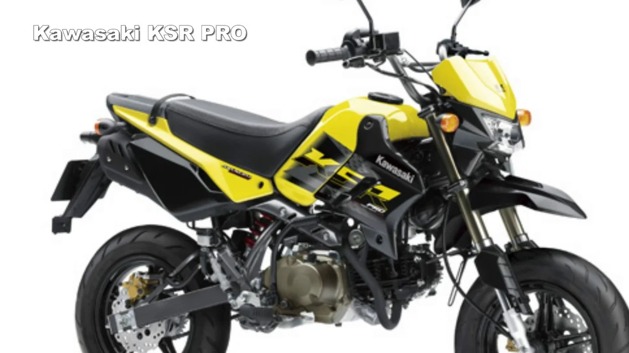 2017 Kawasaki KSR 110